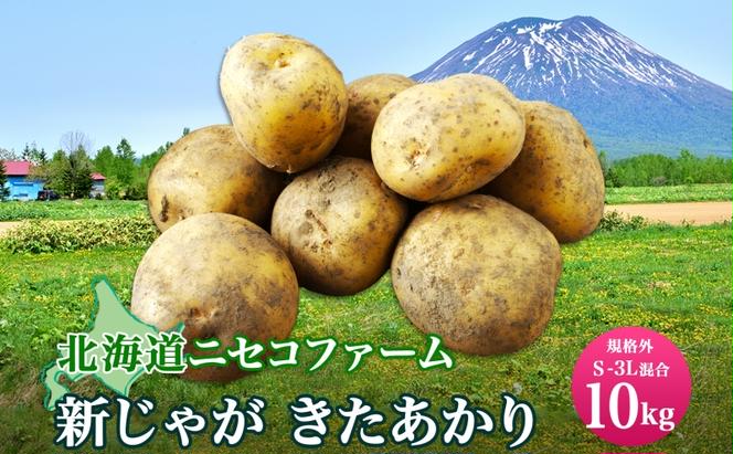 北海道産 じゃがいも きたあかり 10kg 規格外 訳あり S-3L サイズ混合 新じゃが 芋 ジャガイモ 野菜 農作物 お取り寄せ キタアカリ  馬鈴薯 ニセコファーム 送料無料 北海道 倶知安町（北海道倶知安町） | ふるさと納税サイト「ふるさとプレミアム」