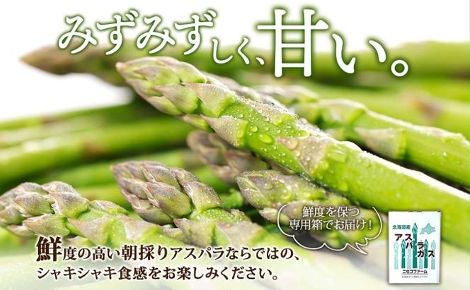 北海道産 グリーン アスパラガス 約1kg 2L アスパラガス アスパラ 旬 朝採り 野菜 新鮮 野菜 お取り寄せ 産地直送 産直 野菜 農作物 詰め合わせ アスパラ 国産 野菜 しりべしや ニセコファーム 北海道