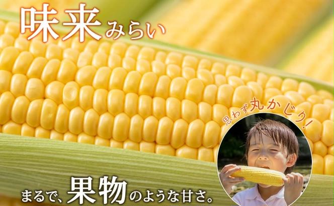 【 2025年 先行予約 】 北海道産 とうもろこし 2種 計24本 L-2L サイズ混合 味来 ロイシーコーン 食べ比べ セット 旬 朝採り 新鮮 トウモロコシ とうきび お取り寄せ 産地直送 野菜 しりべしや 送料無料 