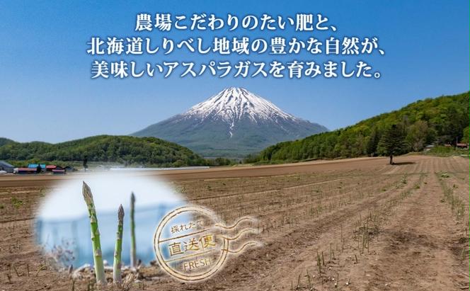 北海道産 アスパラガス グリーン ホワイト 2種 約900g×2 計1.8kg S - L サイズ混合 食べ比べ アスパラ 旬 朝採り 新鮮 お取り寄せ 産地直送 産直 野菜 農作物 詰め合わせ 国産 しりべしや ニセコファーム