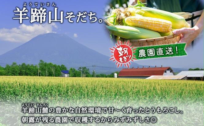 【 2025年 先行予約 】 北海道産 とうもろこし 味来 計24本 L-2L サイズ混合 大きめ みらい 旬 朝採り 新鮮 トウモロコシ 甘い 夏野菜 とうきび お取り寄せ 産地直送 野菜 しりべしや 送料無料 