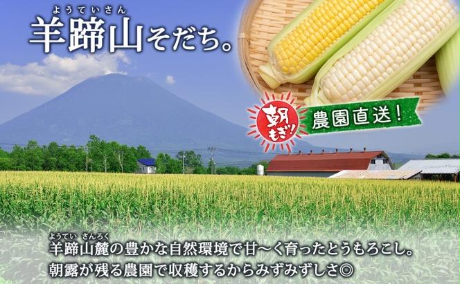 【 2025年 先行予約 】 北海道産 とうもろこし 2種 計24本 L-2L サイズ混合 味来 ロイシーコーン 食べ比べ セット 旬 朝採り 新鮮 トウモロコシ とうきび お取り寄せ 産地直送 野菜 しりべしや 送料無料 