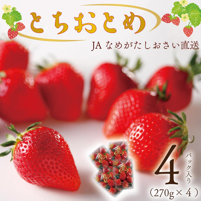 【2024年12月下旬より順次発送】JAなめがたしおさい直送「とちおとめ」1箱（4パック入）(AE-62)