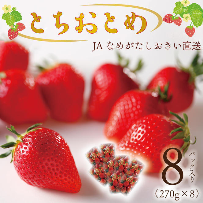 【2024年12月下旬より順次発送】JAなめがたしおさい直送「とちおとめ」2箱（8パック入）(AE-63)