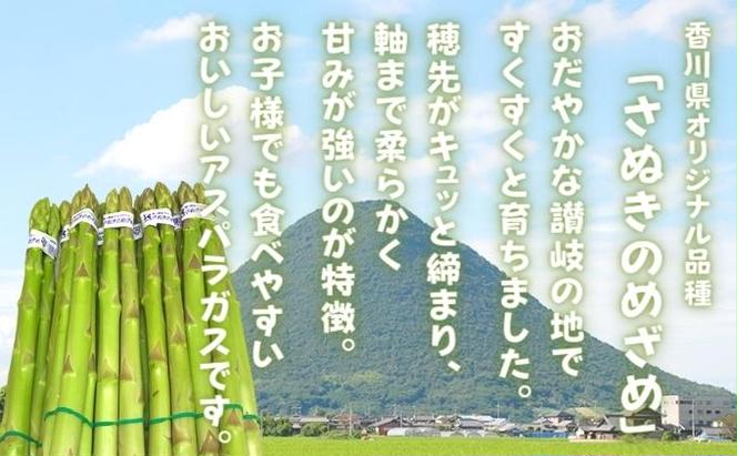 【早出し】さぬきのめざめ春芽（アスパラガス）約800g【1月下旬発送開始】