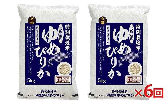 玄米 北海道赤平産 ゆめぴりか 10kg (5kg×2袋) 特別栽培米 【6回お届け】 米 北海道 定期便