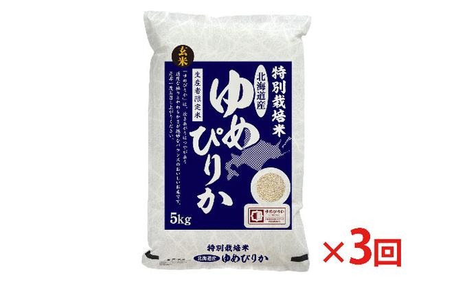 玄米 北海道赤平産 ゆめぴりか 5kg 特別栽培米 【3回お届け】 米 北海道 定期便
