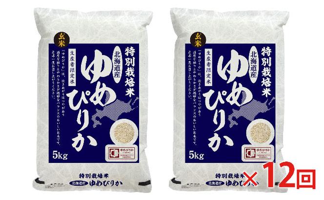 玄米 北海道赤平産 ゆめぴりか 10kg (5kg×2袋) 特別栽培米 【12回お