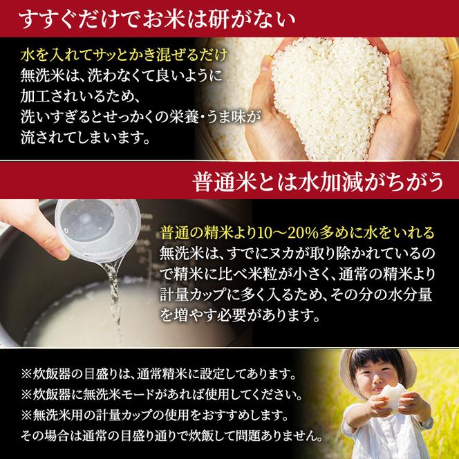 無洗米 北海道赤平産 ゆめぴりか 5kg 特別栽培米 【6回お届け】 米 北海道 定期便