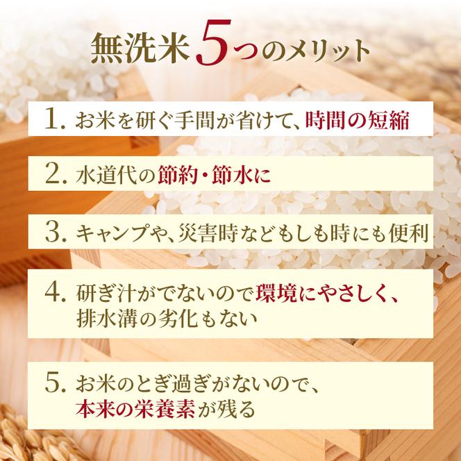 【先行予約2024年産米・11月より順次出荷】無洗米 北海道赤平産 ゆめぴりか 5kg 特別栽培米 【12回お届け】 米 北海道 定期便