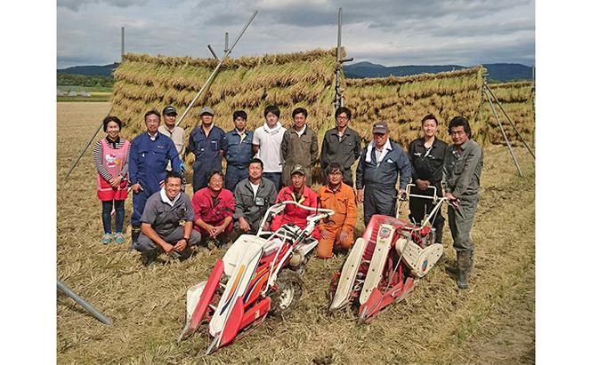 北海道赤平産 ゆめぴりか 5kg 特別栽培米 【12回お届け】 精米 米 北海道 定期便 ふるさと納税 