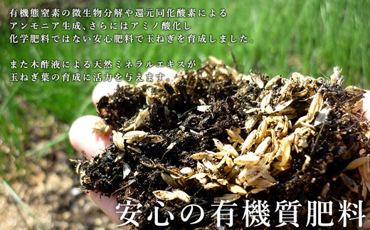 今井ファームの淡路島たまねぎ「かくし玉」 5kg　　[玉ねぎ 玉葱 たまねぎ 玉ねぎ 玉葱 たまねぎ 玉ねぎ 玉葱 たまねぎ 淡路島 玉ねぎ 玉ねぎ 玉ねぎ 玉ねぎ 玉ねぎ 玉ねぎ 玉ねぎ 玉ねぎ 玉ねぎ 玉ねぎ 玉ねぎ 玉ねぎ 玉ねぎ]