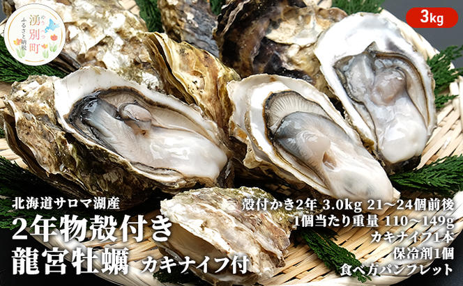 【国内消費拡大求む】先行予約 北海道 サロマ湖産 龍宮牡蠣 3kg（ 2年物 殻付き カキ ）カキナイフ付 牡蠣 海鮮 魚介 国産 貝付き 生牡蠣 生食 焼き牡蠣 蒸し牡蠣 冷蔵 産地直送 オホーツク