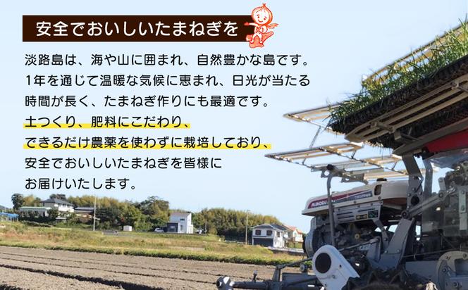 【新たまねぎ】淡路島たまねぎ 歩-AYUMU- 10kg【発送時期：2024年3月～6月上旬頃】