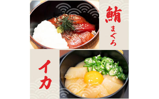 訳あり海鮮漬け丼（5種×各1P）セット　漬け丼 まぐろ イカ ぶり 鯛 タイ カツオのタタキ 鰹タタキ 食べ比べ 海鮮 魚 冷凍 食品 保存食 小分け 高知 土佐 海鮮丼 鯛めし 漬け丼 惣菜 そうざい 訳アリ わけあり 不揃い 規格外 故郷納税 返礼品