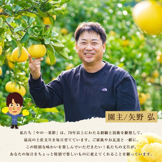 日本ギフト大賞2024受賞】先行予約 園主こだわり土佐文旦【 大玉