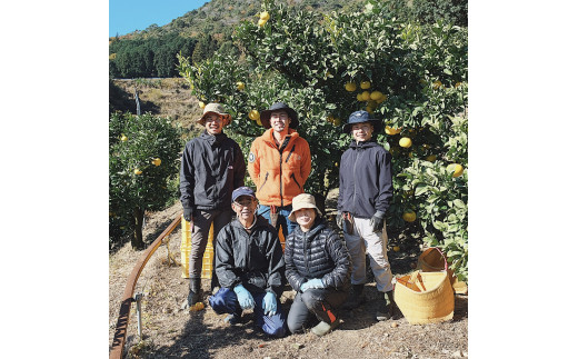 ☆至高の柑橘　高知産土佐文旦☆M 30玉入【家庭用】ぶんたん ブンタン 果物 柑橘 フルーツ お取り寄せ おいしい 美味しい 故郷納税 ふるさとのうぜい 返礼品 高知県 高知 