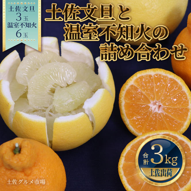 土佐文旦と温室不知火(シラヌイ)の詰め合わせ 約3kg セット 詰め合わせ ぶんたん ブンタン 果物 フルーツ 柑橘 しらぬい みかん ミカン 故郷納税 ふるさとのうぜい 返礼品 高知県 高知