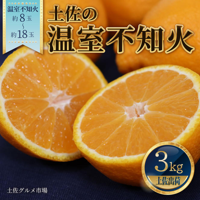 土佐の温室不知火（しらぬい）約3kg みかん 柑橘 フルーツ 果物 美味しい おいしい 常温 故郷納税 ふるさとのうぜい 返礼品 高知県 高知