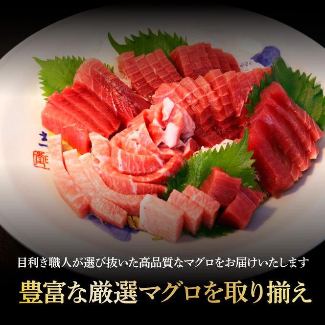 本鮪 中トロ200g トロ マグロ まぐろ 本まぐろ 刺身 刺し身 魚 海鮮 冷凍 美味しい おいしい 故郷納税 ふるさとのうぜい 返礼品 高知県 高知