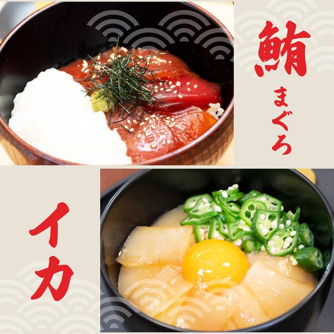 こだわり！土佐の海鮮丼の素５種・各2袋セット【鰹タタキ漬け入り！】漬け丼 漬け丼セット 海鮮 丼 各2パック お茶漬け 鰹のタタキ かつお サバ 鯛 カンパチ ブリ 送料無料 故郷納税 ふるさとのうぜい 返礼品 高知県 高知