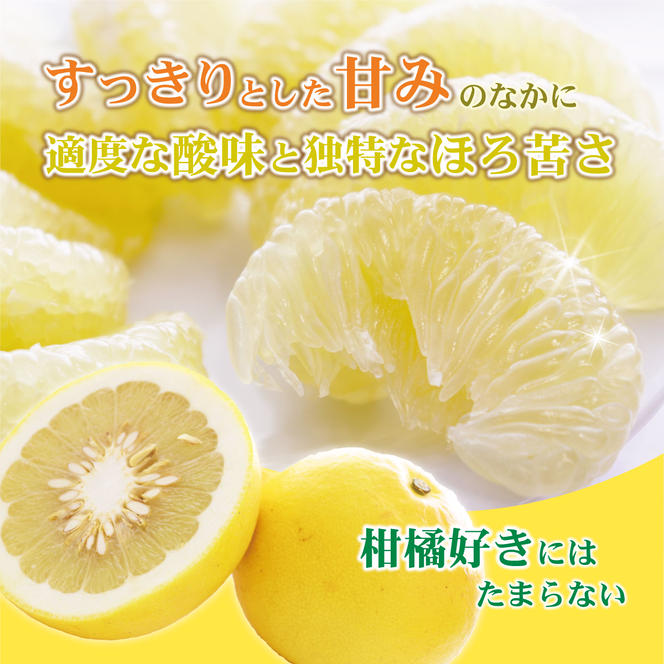 土佐文旦(ぶんたん) (大玉:2L～5L) 約5kg【土佐グルメ市場(土佐市)厳選】（高知県土佐市） | ふるさと納税サイト「ふるさとプレミアム」