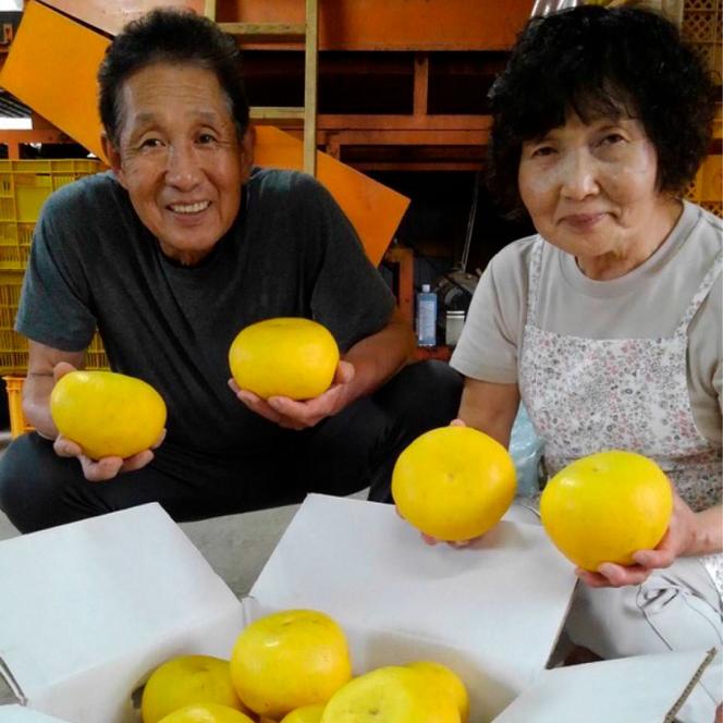 秋の味覚！土佐の次郎柿　甘味抜群【家庭用】※10月より順次発送 かき カキ 甘い 美味しい おいしい 果物 フルーツ 常温 ご自宅用 故郷納税 ふるさとのうぜい 返礼品 高知県 高知