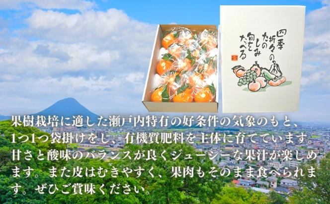【4月発送】 デコポン 不知火 約4kg 化粧箱 柑橘 みかん 蜜柑 オレンジ くだもの 果物 フルーツ ジュース ゼリー スイーツ 贈答用 ギフト おすすめ 高級 期間限定 先行予約 グルメ 香川県 丸亀市