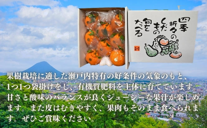 【4月発送】 デコポン 不知火 約2kg 化粧箱 柑橘 みかん 蜜柑 オレンジ くだもの 果物 フルーツ ジュース ゼリー スイーツ 贈答用 ギフト おすすめ 高級 期間限定 先行予約 グルメ 香川県 丸亀市