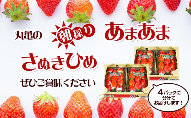 朝採りさぬきひめ／250g×4パック【1月中旬以降発送開始】