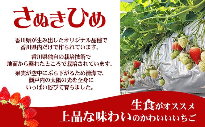 朝採りさぬきひめ／250g×2パック　丸亀産【1月中旬以降発送開始】