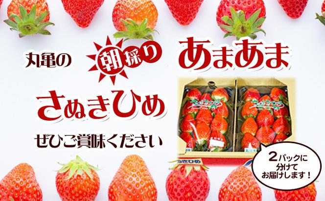 朝採りさぬきひめ／250g×2パック　丸亀産【1月中旬以降発送開始】