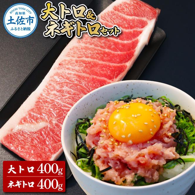 本鮪　大トロ400g、ネギトロ400g(200g×2) セット ねぎとろ マグロ まぐろ 本まぐろ 刺身 刺し身 魚 海鮮 冷凍 美味しい おいしい 故郷納税 ふるさとのうぜい 返礼品 高知県 高知