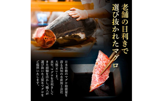 本鮪 赤身 600g マグロ まぐろ 本まぐろ 刺身 刺し身 魚 海鮮 冷凍 美味しい おいしい 故郷納税 ふるさとのうぜい 返礼品 高知県 高知