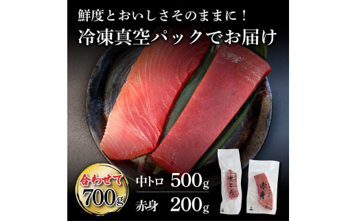 本鮪 中トロ500g・赤身200g 合せて700g 赤身と中トロのセット 赤身 トロ マグロ まぐろ 本まぐろ 刺身 刺し身 魚 海鮮 冷凍 美味しい おいしい 故郷納税 ふるさとのうぜい 返礼品 高知県 高知