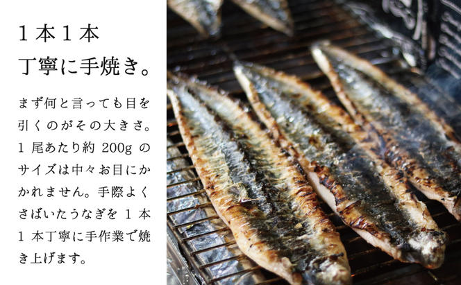 ★2尾で勝負！ふんわり手焼き国産うなぎ（特大約200g）×2尾★隠し味の赤穂の天塩も効いてます！