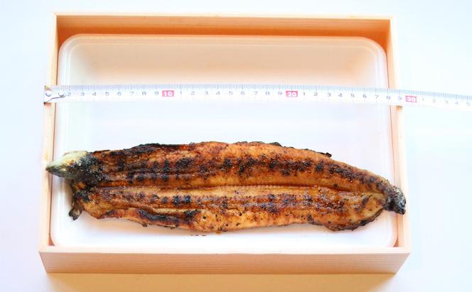 ★1尾で勝負！ふんわり手焼き国産うなぎ（約200g）★隠し味の赤穂の天塩も効いてます！