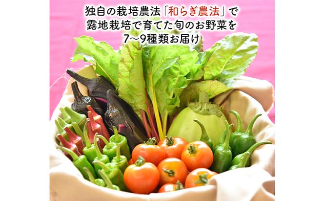 和らぎ農法　わっさんの食いしん坊野菜　栗東市産　旬の野菜便