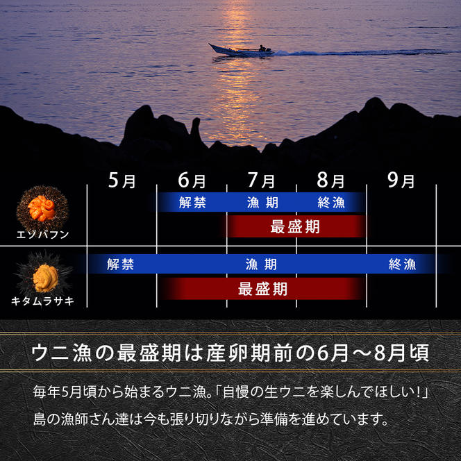 北海道礼文島産 塩水 キタムラサキウニ エゾバフンウニ 食べ比べ　90g各1パック