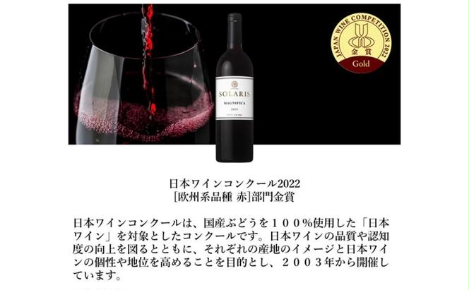 日本ワイン ソラリス マニフィカ2015 ワイン 赤ワイン 日本ワインコンクール2022欧州系品種赤部門金賞 マンズワイン 酒 お酒 洋酒 果実酒 ぶどう酒 長野
