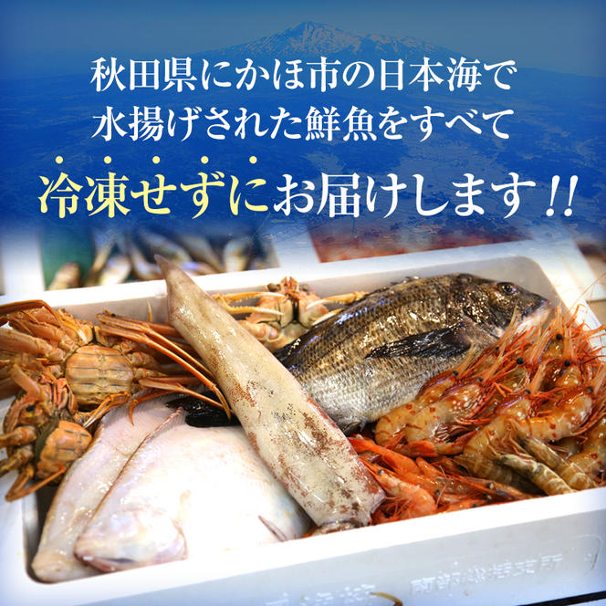 開けたらすぐ食べられる日本海の鮮魚詰合せ（4～5人前）(魚介 下処理済み 詰め合わせ セット)