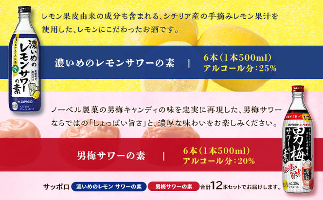 サッポロ 濃いめの レモンサワー の素 6本／ 男梅サワー の素 6本 合計12本 セット （1本500ml） お酒 サワー レモン 檸檬 梅味 男梅  原液 洋酒 リキュール類