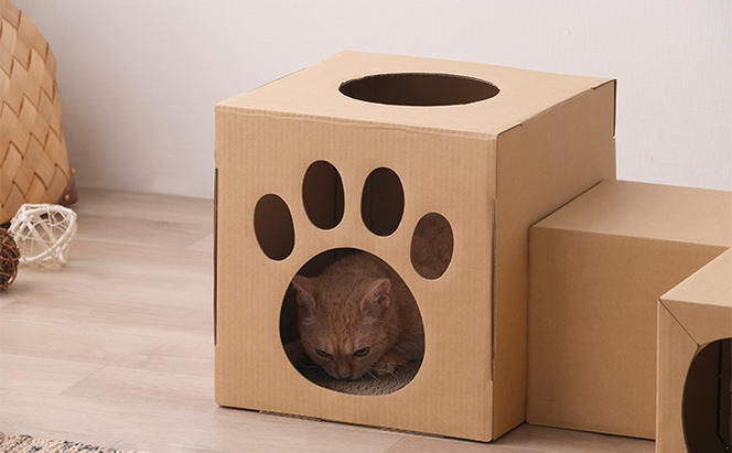 ねこねこトンネル BOX＋T字セット P-NTBT  キャットウォーク 猫 猫用品 ねこ ペット ペット用品 爪とぎ 爪研ぎ おもちゃ