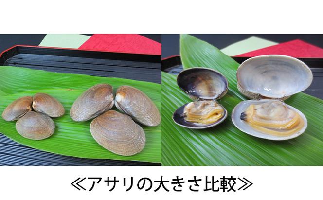 先行予約 北海道厚岸産　特大あさり（砂出し済み）ムキ牡蠣（生食用）セット