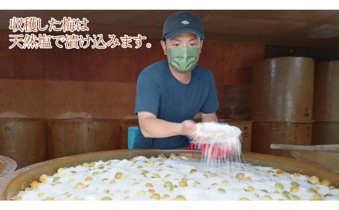 昔ながらの梅干し 一級品（福井県若狭町）伝統製法にこだわり仕上げた無添加・無着色の梅干し／ケース入り800g