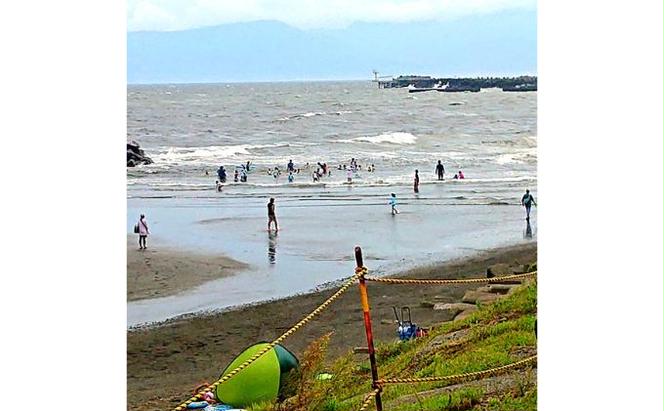 ちがさき柳島キャンプ場 セットアップテントで森林浴キャンプ