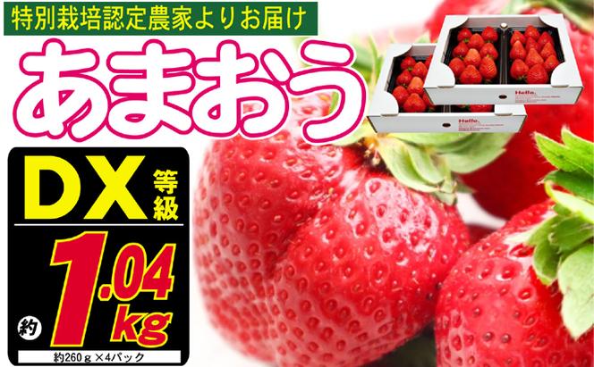 あまおう DX等級のみ 約1.04kg 約260g×4パック ※配送不可：北海道・東北・沖縄・離島