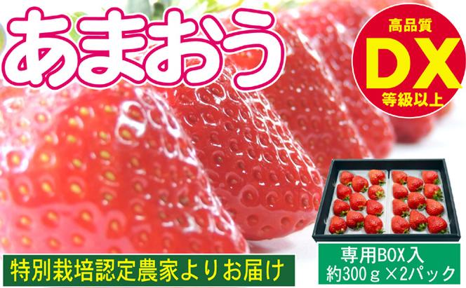 あまおう DX等級以上 約300g×2パック ※配送不可：北海道・東北・沖縄・離島