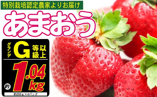 あまおう G以上 約1.04kg 約260g×4パック ※配送不可：北海道・東北・沖縄・離島