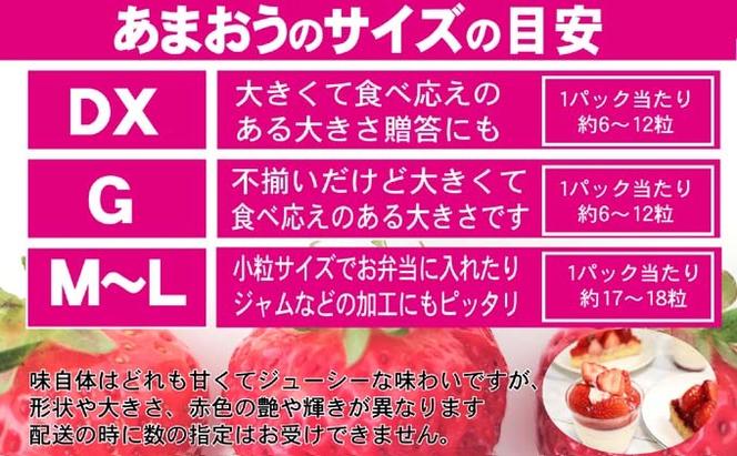 あまおう DX等級のみ 約1.04kg 約260g×4パック ※配送不可：北海道・東北・沖縄・離島